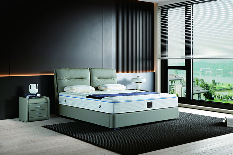 Informe de Tendencia de Aplicación de Materiales d